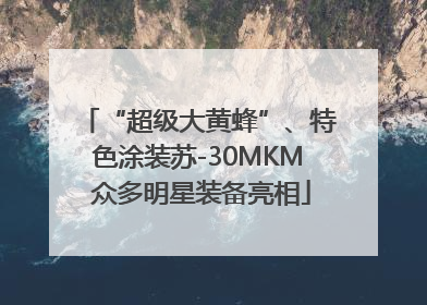 “超级大黄蜂”、特色涂装苏-30MKM 众多明星装备亮相