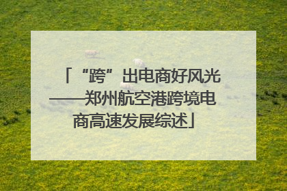 “跨”出电商好风光——郑州航空港跨境电商高速发展综述