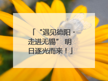 “遇见德阳・走进无锡” 明日逐光而来！