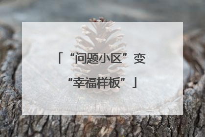 “问题小区”变“幸福样板”