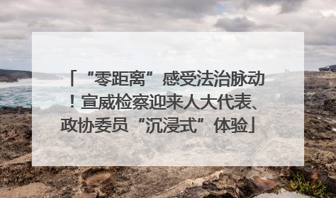 “零距离”感受法治脉动！宣威检察迎来人大代表、政协委员“沉浸式”体验