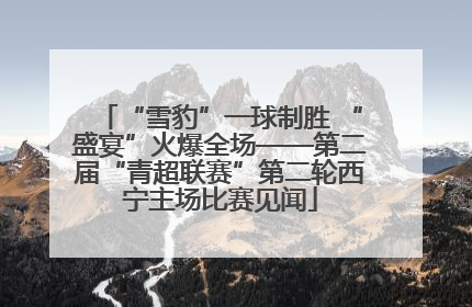 “雪豹”一球制胜 “盛宴”火爆全场——第二届“青超联赛”第二轮西宁主场比赛见闻