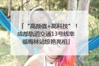 “高颜值+高科技”！成都轨道交通13号线幸福梅林站惊艳亮相