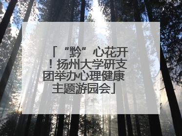 “黔”心花开！扬州大学研支团举办心理健康主题游园会
