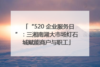 “520 企业服务日”：三湘南湖大市场灯石城赋能商户与职工