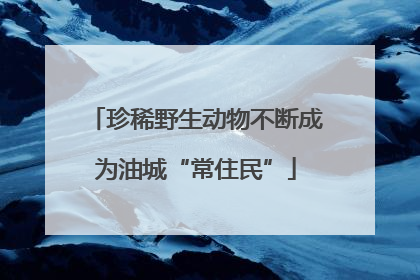 珍稀野生动物不断成为油城“常住民”