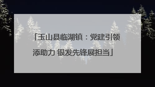 玉山县临湖镇：党建引领添助力 银发先锋展担当