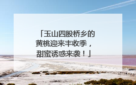 玉山四股桥乡的黄桃迎来丰收季，甜蜜诱惑来袭！