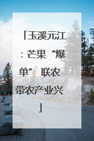 玉溪元江：芒果“爆单” 联农带农产业兴