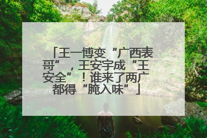 王一博变“广西表哥”，王安宇成“王安全”！谁来了两广都得“腌入味”