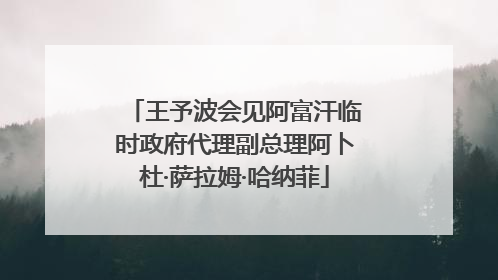 王予波会见阿富汗临时政府代理副总理阿卜杜·萨拉姆·哈纳菲