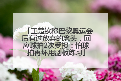 王楚钦称巴黎奥运会后有过放弃的念头，回应球拍2次受损：怕球拍再坏用副板练习