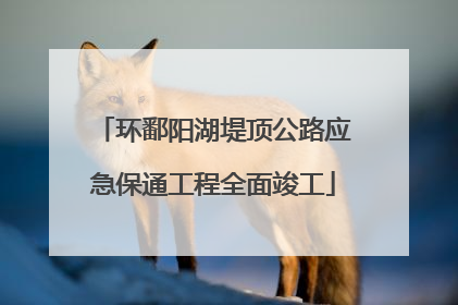 环鄱阳湖堤顶公路应急保通工程全面竣工