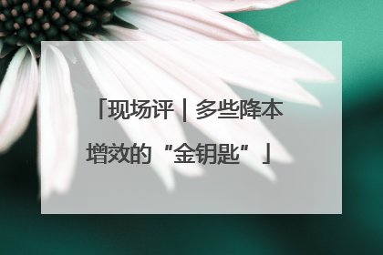 现场评｜多些降本增效的“金钥匙”
