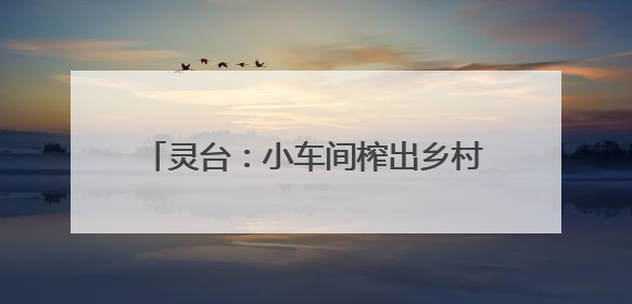 灵台：小车间榨出乡村全面振兴“幸福油”