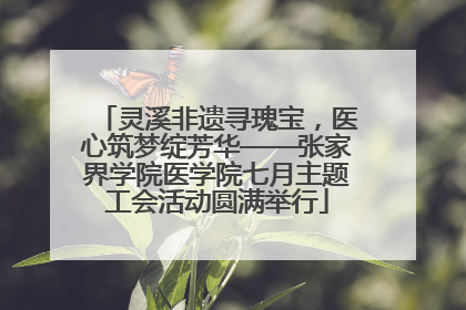 灵溪非遗寻瑰宝，医心筑梦绽芳华——张家界学院医学院七月主题工会活动圆满举行