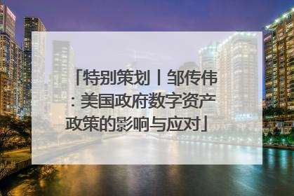 特别策划丨邹传伟：美国政府数字资产政策的影响与应对