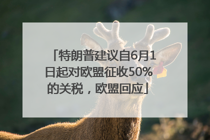 特朗普建议自6月1日起对欧盟征收50%的关税，欧盟回应