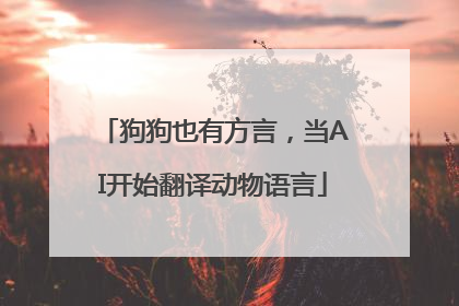 狗狗也有方言，当AI开始翻译动物语言