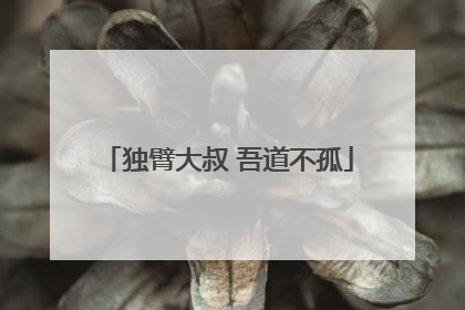 独臂大叔 吾道不孤