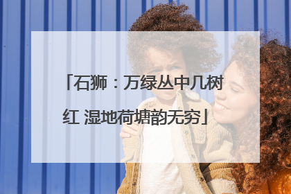 石狮：万绿丛中几树红 湿地荷塘韵无穷