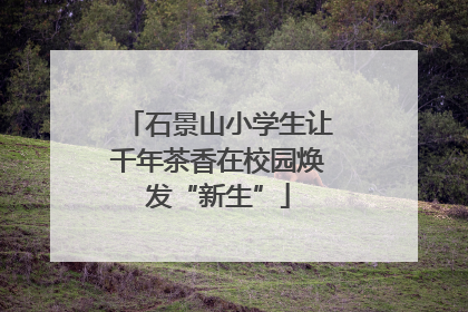 石景山小学生让千年茶香在校园焕发“新生”