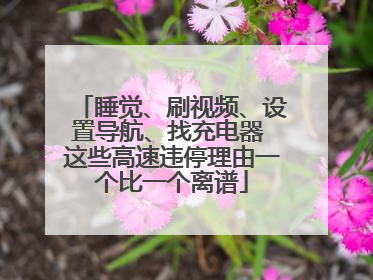 睡觉、刷视频、设置导航、找充电器 这些高速违停理由一个比一个离谱