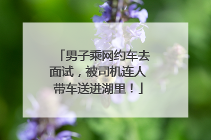 男子乘网约车去面试，被司机连人带车送进湖里！