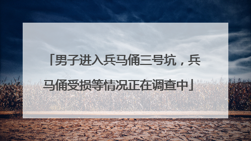 男子进入兵马俑三号坑，兵马俑受损等情况正在调查中