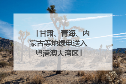 甘肃、青海、内蒙古等地绿电送入粤港澳大湾区