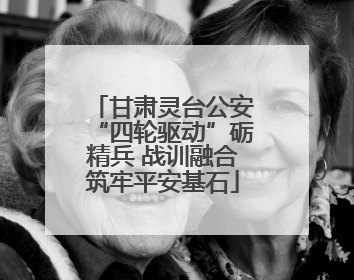甘肃灵台公安“四轮驱动”砺精兵 战训融合筑牢平安基石
