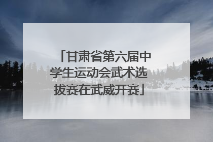 甘肃省第六届中学生运动会武术选拔赛在武威开赛