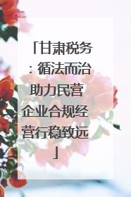 甘肃税务：循法而治 助力民营企业合规经营行稳致远