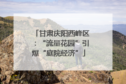 甘肃庆阳西峰区：“流量花园”引爆“庭院经济”