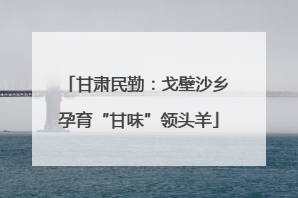 甘肃民勤：戈壁沙乡孕育“甘味”领头羊