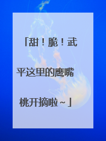 甜！脆！武平这里的鹰嘴桃开摘啦～