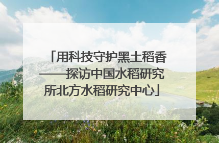用科技守护黑土稻香——探访中国水稻研究所北方水稻研究中心