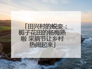 田兴村的蜕变：栀子花田的杨梅熟啦 采摘节让乡村热闹起来