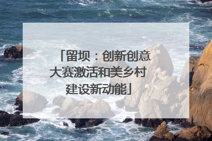 留坝：创新创意大赛激活和美乡村建设新动能