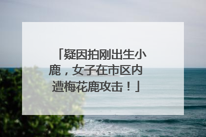 疑因拍刚出生小鹿，女子在市区内遭梅花鹿攻击！
