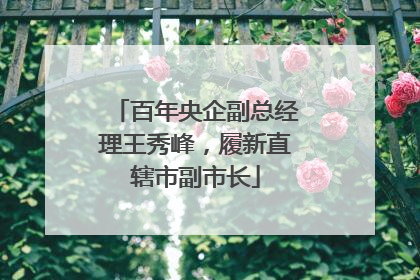 百年央企副总经理王秀峰，履新直辖市副市长