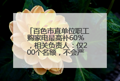 百色市直单位职工购家电最高补60％，相关负责人：仅200个名额，不会严格筛查身份