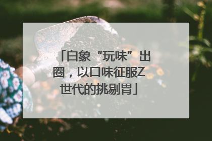 白象“玩味”出圈，以口味征服Z世代的挑剔胃