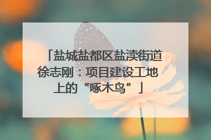 盐城盐都区盐渎街道徐志刚：项目建设工地上的“啄木鸟”