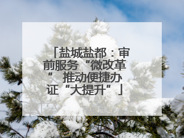 盐城盐都：审前服务“微改革” 推动便捷办证“大提升”