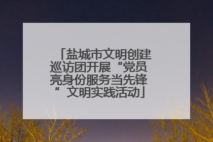 盐城市文明创建巡访团开展“党员亮身份服务当先锋”文明实践活动
