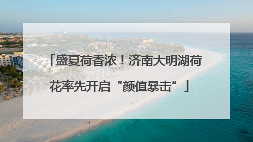 盛夏荷香浓！济南大明湖荷花率先开启“颜值暴击”