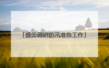 盛蕾调研防汛准备工作
