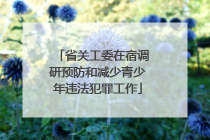 省关工委在宿调研预防和减少青少年违法犯罪工作