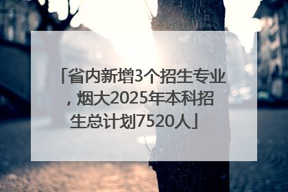省内新增3个招生专业，烟大2025年本科招生总计划7520人